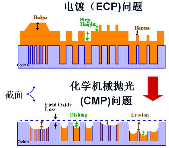 ECP